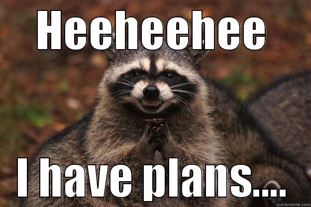 HEEHEEHEE I HAVE PLANS.... Evil Plotting Raccoon