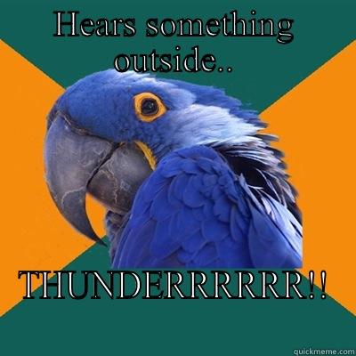 HEARS SOMETHING OUTSIDE.. THUNDERRRRRR!! Paranoid Parrot