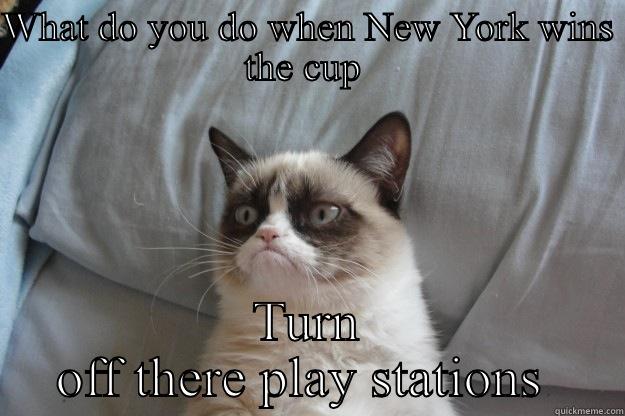 New York rangers - WHAT DO YOU DO WHEN NEW YORK WINS THE CUP  TURN OFF THERE PLAY STATIONS  Grumpy Cat