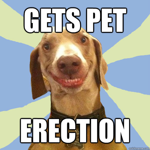 Gets pet Erection  Disgusting Doggy