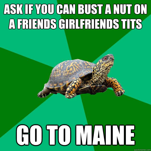 Ask if you can bust a nut on a friends girlfriends tits Go to maine  Torrenting Turtle