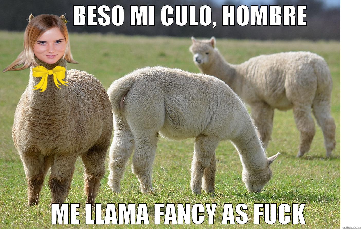      BESO MI CULO, HOMBRE ME LLAMA FANCY AS FUCK Misc