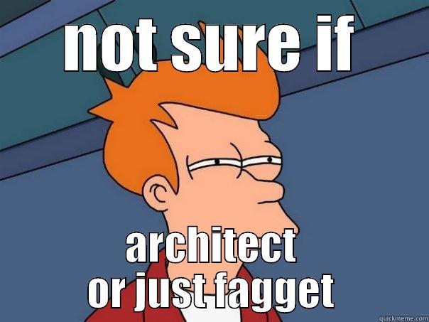 NOT SURE IF ARCHITECT OR JUST FAGGET Futurama Fry