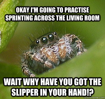 Okay I'm going to practise sprinting across the living room Wait why have you got the slipper in your hand!?  Misunderstood Spider