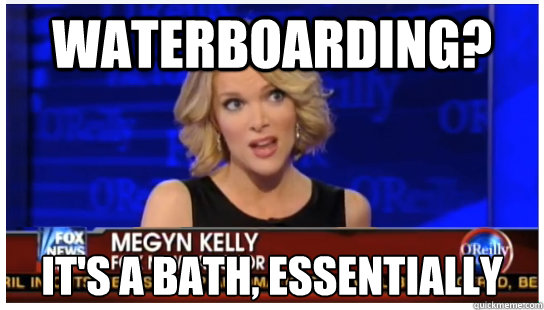 Waterboarding? It's a bath, essentially - Waterboarding? It's a bath, essentially  Euphemism Megyn Kelly