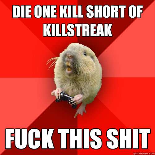 Die one kill short of killstreak fuck this shit - Die one kill short of killstreak fuck this shit  Gaming Gopher