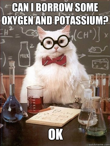 Can I borrow some Oxygen and potassium? OK - Can I borrow some Oxygen and potassium? OK  Chemistry Cat