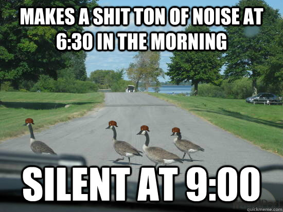 makes a shit ton of noise at 6:30 in the morning silent at 9:00  Scumbag Geese
