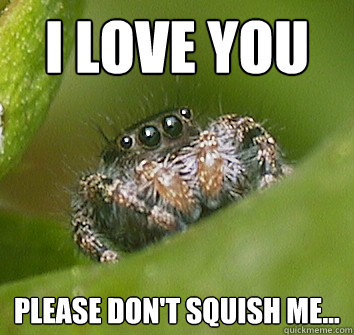 I love you please don't squish me... - I love you please don't squish me...  Misunderstood Spider