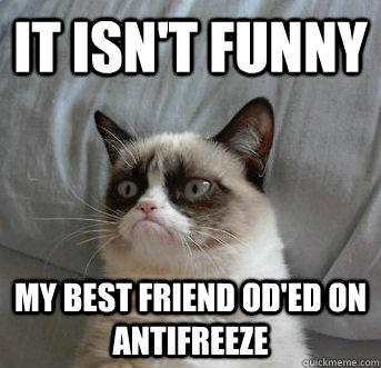 it isn't funny my best friend OD'ed on antifreeze  Grumpy Cat