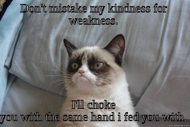 DON'T MISTAKE MY KINDNESS FOR WEAKNESS. I'LL CHOKE YOU WITH THE SAME HAND I FED YOU WITH. Grumpy Cat