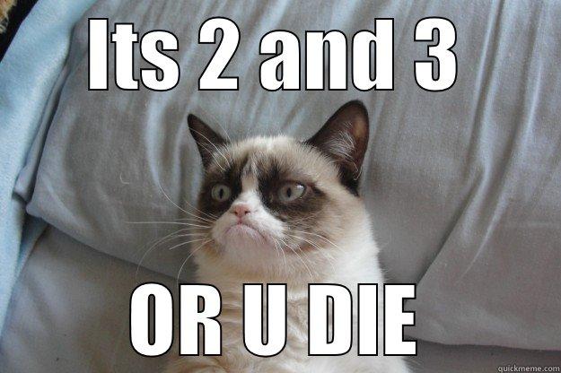 ITS 2 AND 3 OR U DIE Grumpy Cat