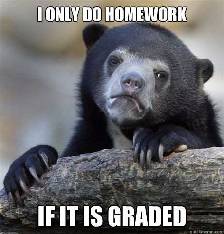 I only do homework If it is graded - I only do homework If it is graded  Confession Bear