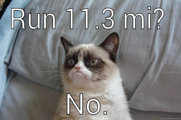 RUN 11.3 MI? NO. Grumpy Cat