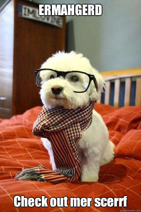 ERMAHGERD Check out mer scerrf  Hipster Dog