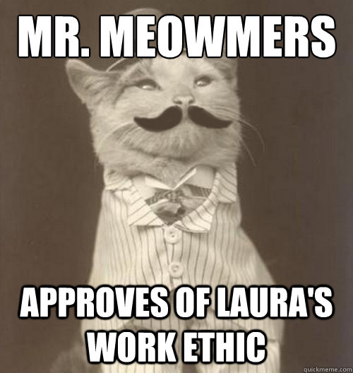 Mr. Meowmers Approves of Laura's work ethic  Original Business Cat