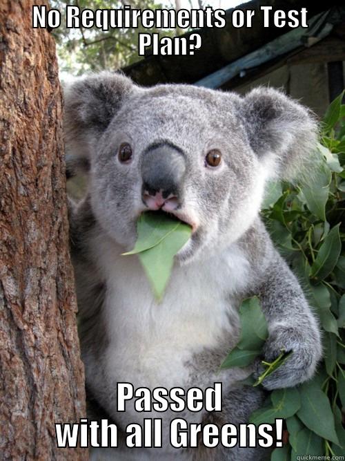 NO REQUIREMENTS OR TEST PLAN? PASSED WITH ALL GREENS! koala bear