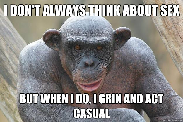 I don't always think about sex but when I do, I grin and act casual  The Most Interesting Chimp In The World