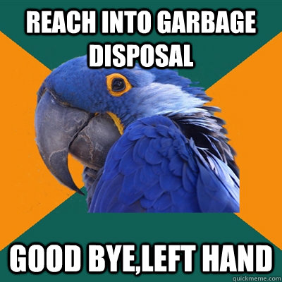 Reach into garbage disposal Good bye,left hand - Reach into garbage disposal Good bye,left hand  Paranoid Parrot