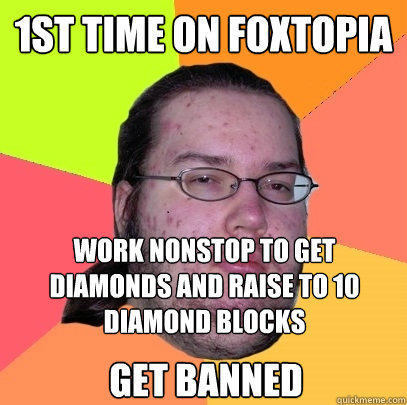 1st time on foxtopia Work nonstop to get diamonds and raise to 10 diamond blocks Get banned  Butthurt Dweller