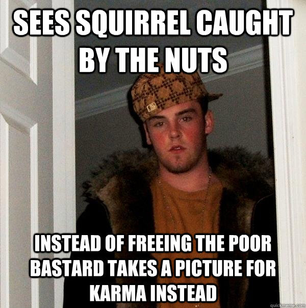 Sees squirrel caught by the nuts instead of freeing the poor bastard takes a picture for karma instead  Scumbag Steve