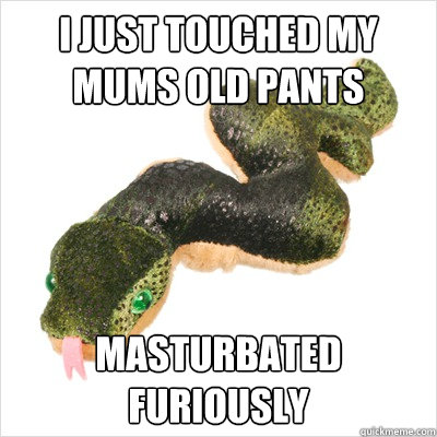 I just touched my mums old pants Masturbated furiously  