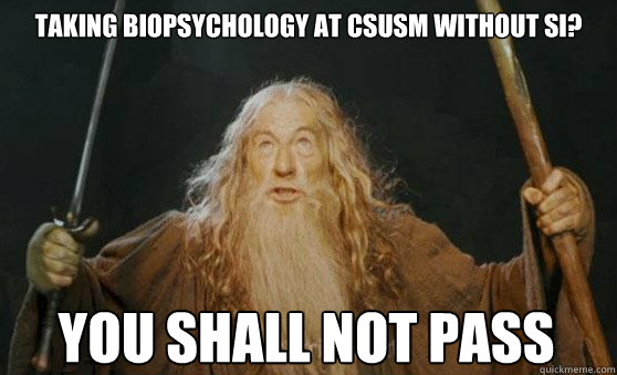 Taking biopsychology at CSUSM without SI? You Shall not pass  Gandalf