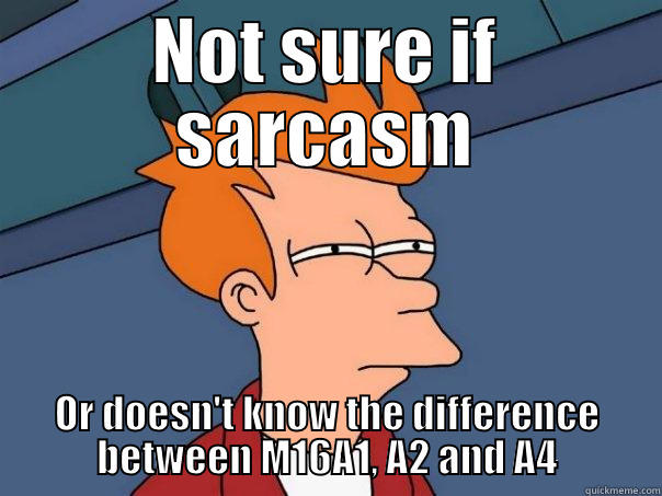 NOT SURE IF SARCASM OR DOESN'T KNOW THE DIFFERENCE BETWEEN M16A1, A2 AND A4 Futurama Fry