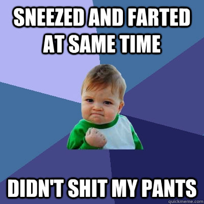 Sneezed and farted at same time didn't shit my pants  Success Kid