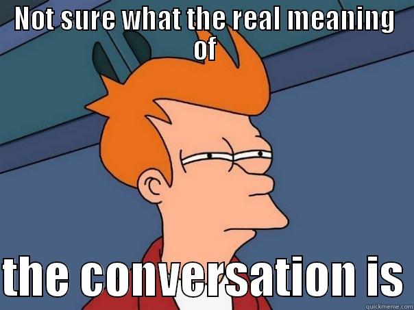 NOT SURE WHAT THE REAL MEANING OF  THE CONVERSATION IS Futurama Fry