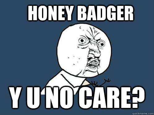 honey badger y u no care?  Y U No