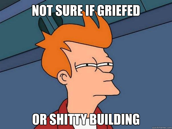 Not sure if griefed or shitty building  Futurama Fry