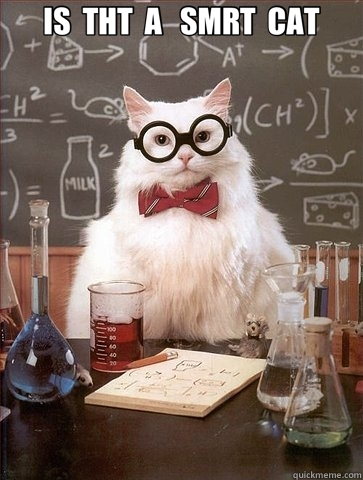 IS  THT  A   SMRT  CAT  - IS  THT  A   SMRT  CAT   Chemistry Cat