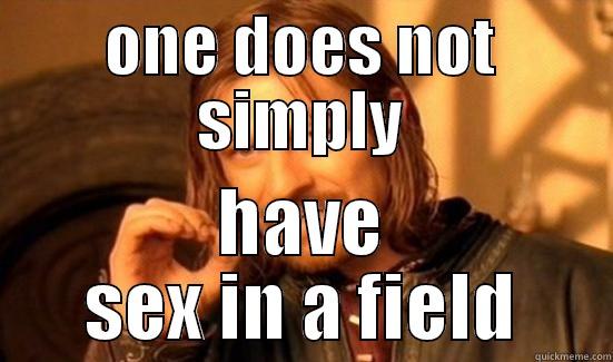 ONE DOES NOT SIMPLY HAVE SEX IN A FIELD Boromir