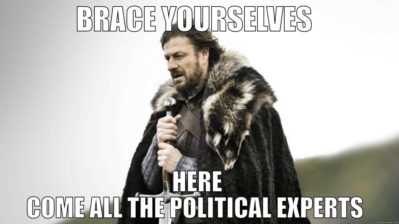 POLITICAL EXPERTS  - BRACE YOURSELVES  HERE COME ALL THE POLITICAL EXPERTS  Misc