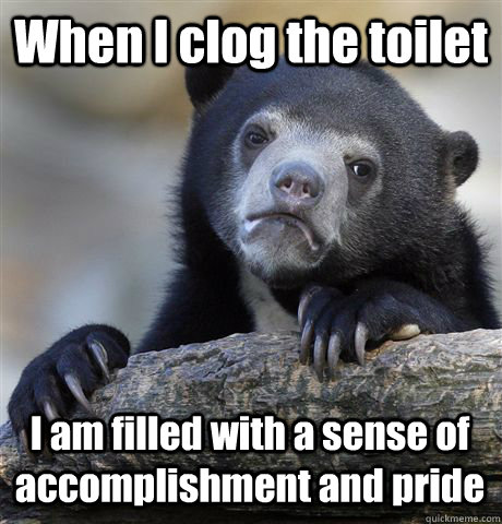 When I clog the toilet I am filled with a sense of accomplishment and pride - When I clog the toilet I am filled with a sense of accomplishment and pride  Confession Bear