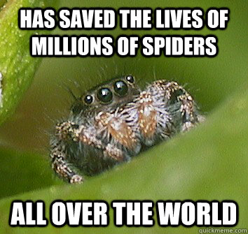 Has saved the lives of millions of spiders all over the world  Misunderstood Spider