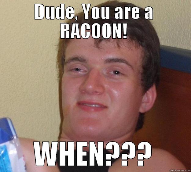 saturday night - DUDE, YOU ARE A RACOON! WHEN??? 10 Guy