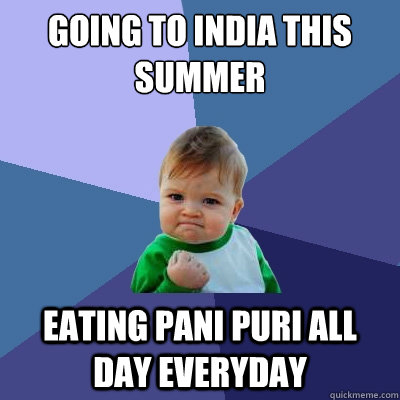 GOING TO INDIA THIS SUMMER EATING PANI PURI ALL DAY EVERYDAY - GOING TO INDIA THIS SUMMER EATING PANI PURI ALL DAY EVERYDAY  Success Kid