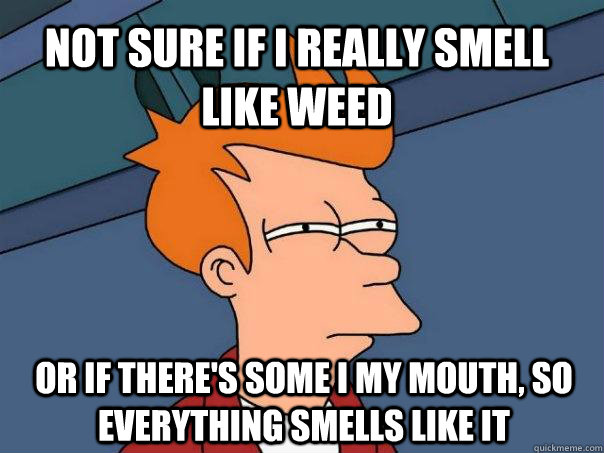 Not sure if I really smell like weed or if there's some i my mouth, so everything smells like it - Not sure if I really smell like weed or if there's some i my mouth, so everything smells like it  Futurama Fry