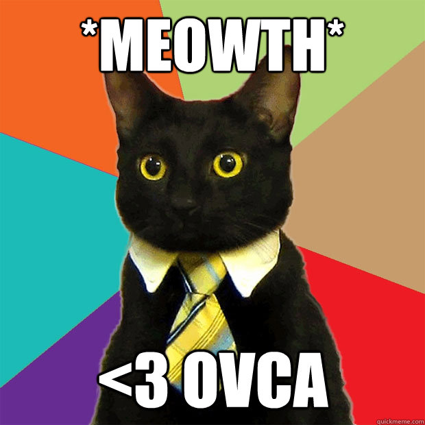 *meowth* <3 ovca  Business Cat