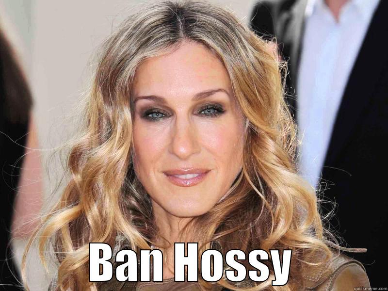  BAN HOSSY Misc