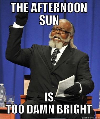 THE AFTERNOON SUN IS TOO DAMN BRIGHT The Rent Is Too Damn High