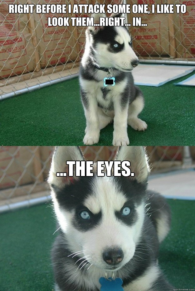 Right before I attack some one, I like to look them...right... in... ...the eyes.  Insanity puppy