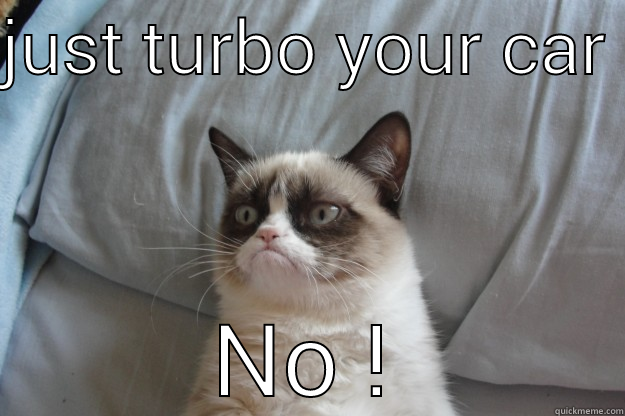 JUST TURBO YOUR CAR  NO ! Grumpy Cat