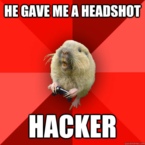 he gave me a headshot hacker  Gaming Gopher