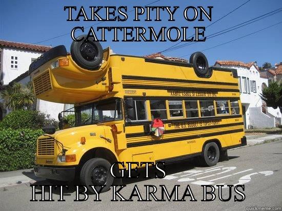 Karma Buss - TAKES PITY ON CATTERMOLE GETS HIT BY KARMA BUS Misc