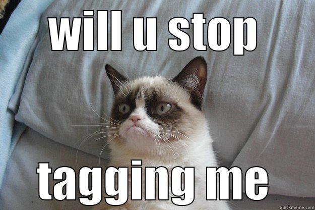 WILL U STOP TAGGING ME Grumpy Cat