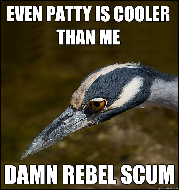 Even Patty is cooler than me damn rebel scum  Sad Realization Heron