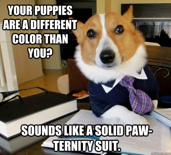 Your puppies are a different color than you? Sounds like a solid paw-ternity suit. - Your puppies are a different color than you? Sounds like a solid paw-ternity suit.  Lawyer Dog